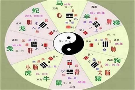 彤的五行|彤字五行属什么